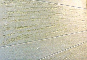 Decorazioni pareti: pitture ad effetto – parte 3 ‹ refreshlab Pittura pareti effetti speciali